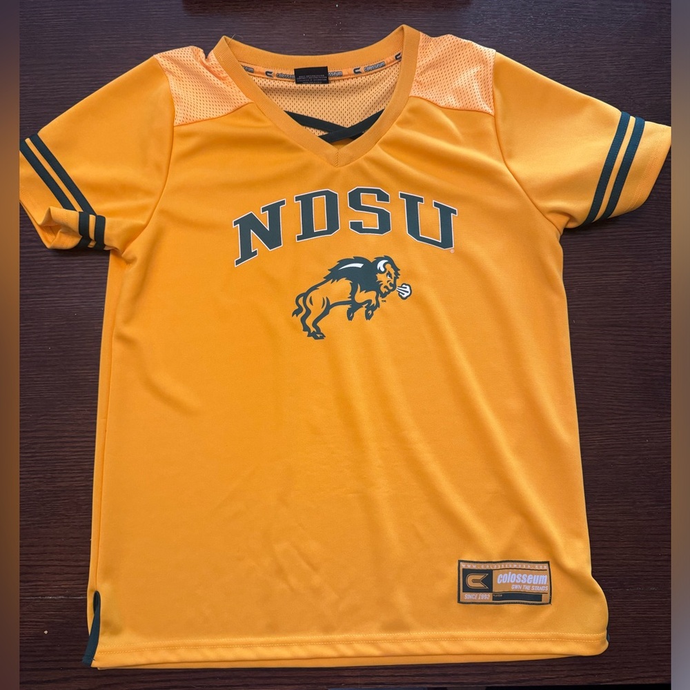 North Dakota State University NDSU Bison Jersey Shirt Women Large